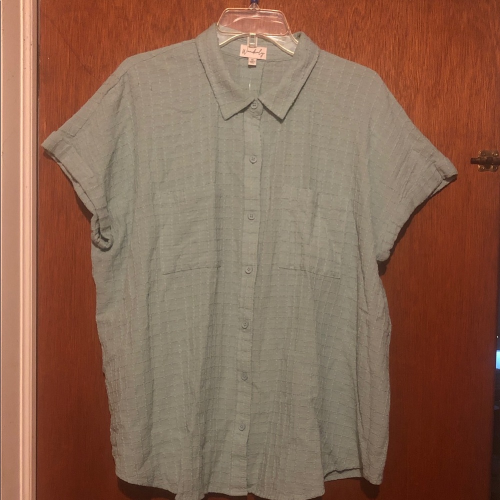 Wonderly Light Green Button Down Shirt